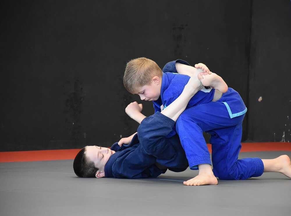 Jiu-Jitsu Minis